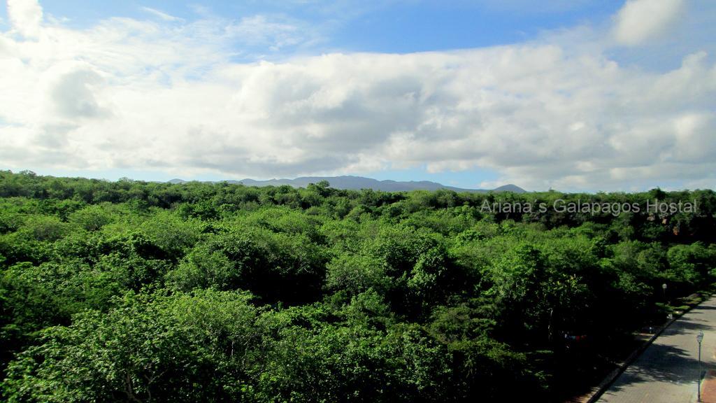 Ariana'S Galapagos Hostal Пуерто-Айора Екстер'єр фото
